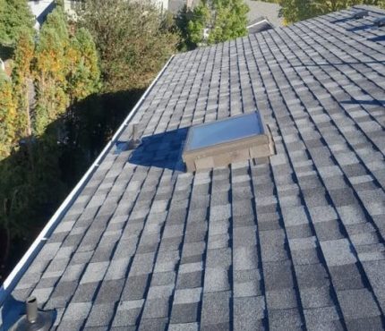 385332662_1262743378011056_2217098431920685884_n