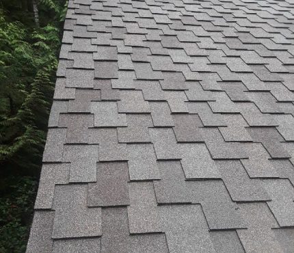 67559755_478294229626492_1780225079032938496_n